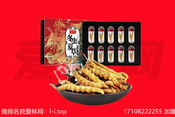 武汉市江岸回收虫草.jpg